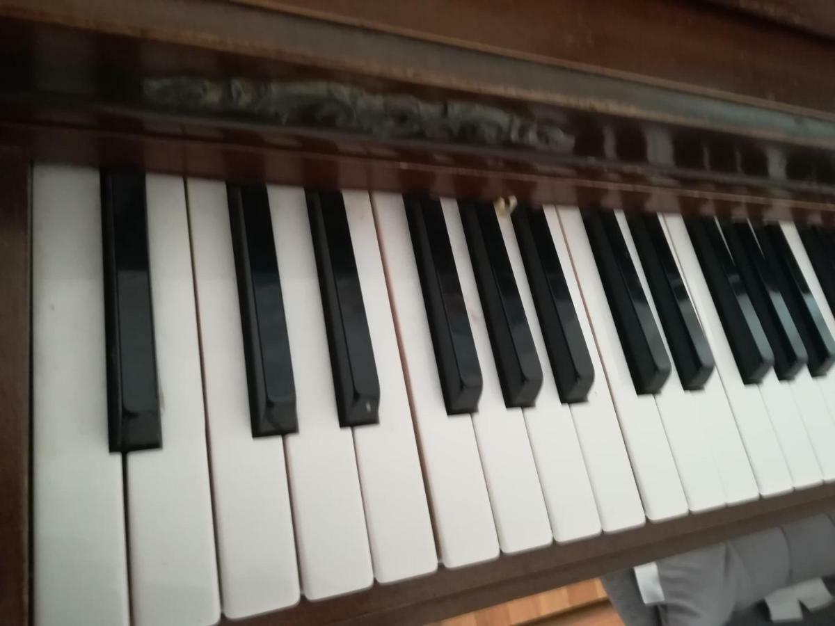 The Piano Apartment زافالاتيكا المظهر الخارجي الصورة